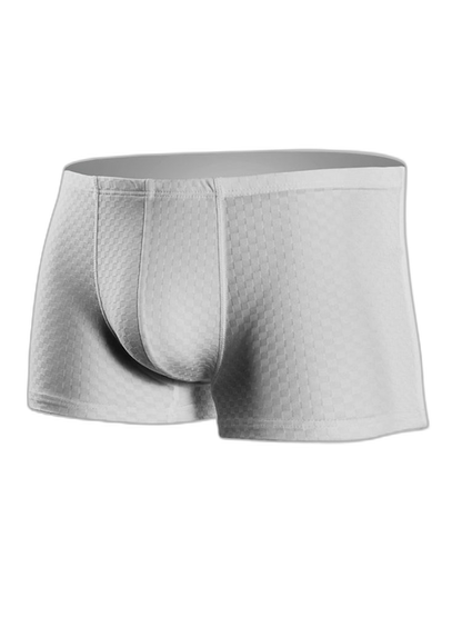 2 Pack Breathable Grid Ice Silk Men's Underwear