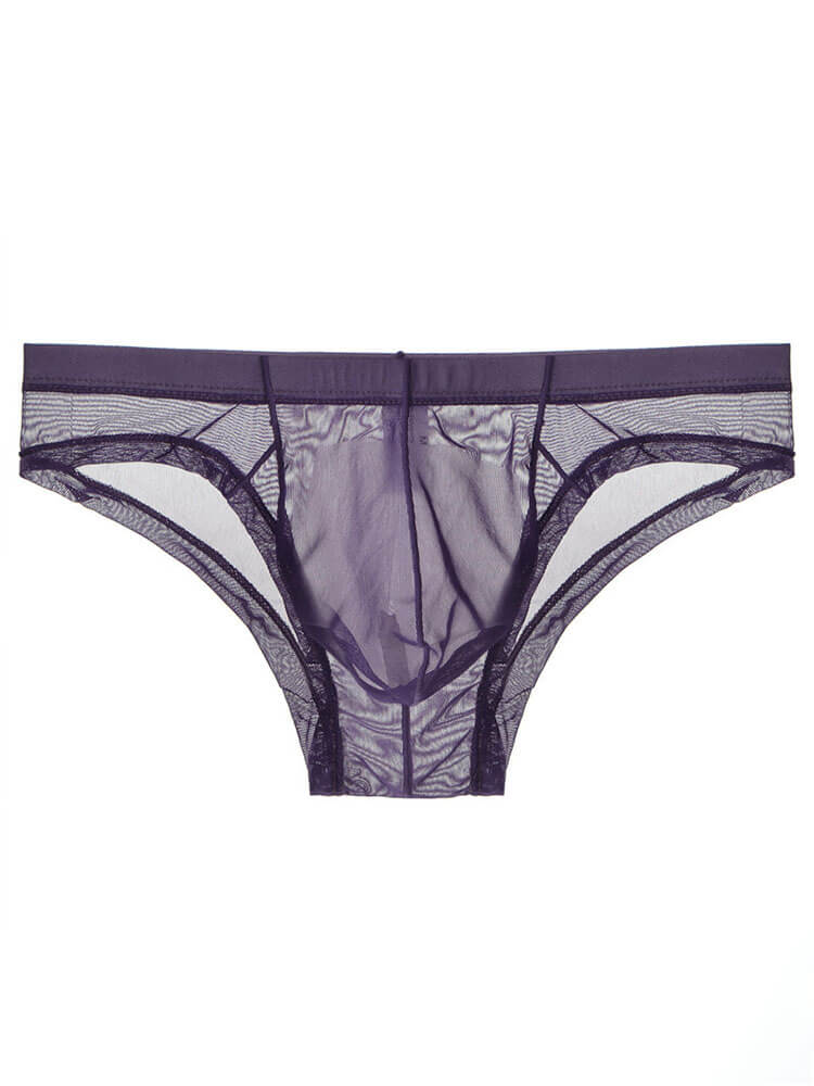 Men's Sexy Sheer Mesh Pouch Breathable Briefs