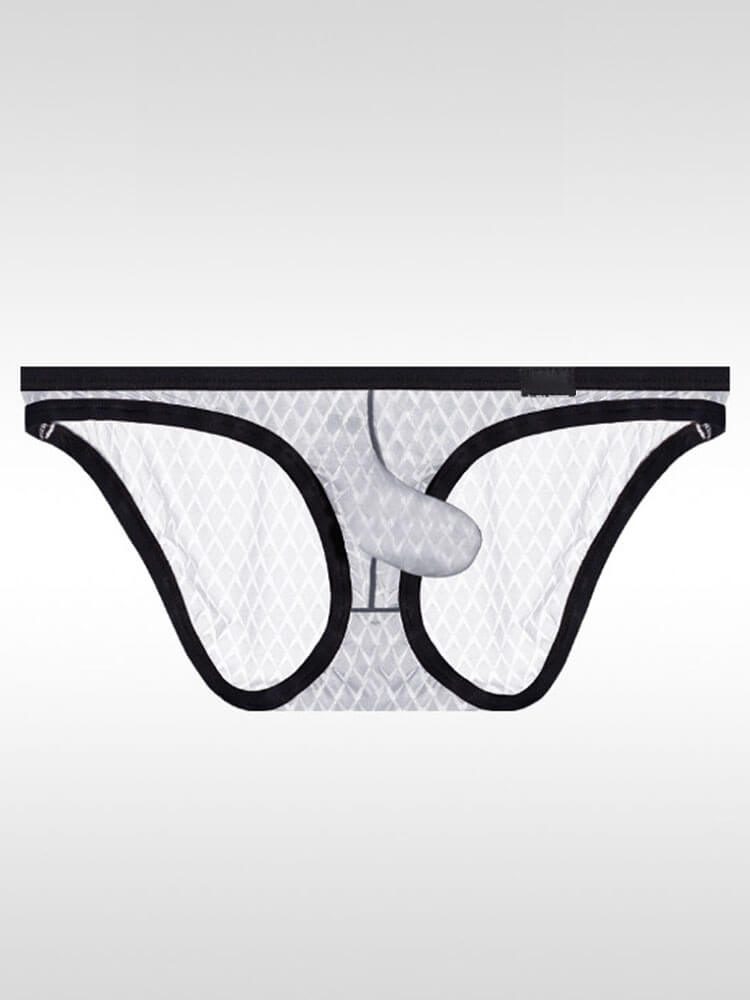 Men's Sexy Elephant Trunk Pouch Ice Silk Boxer Briefs