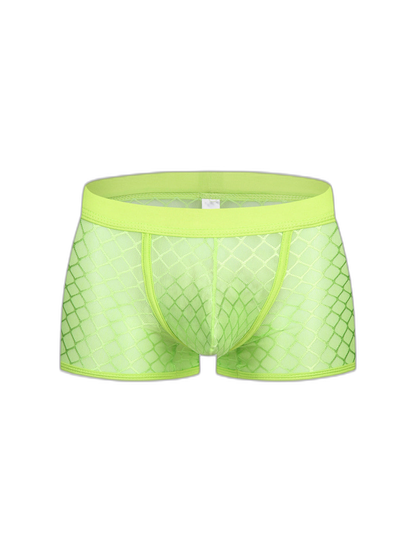 2 Pack Men's Sexy Transparent Mesh Trunks