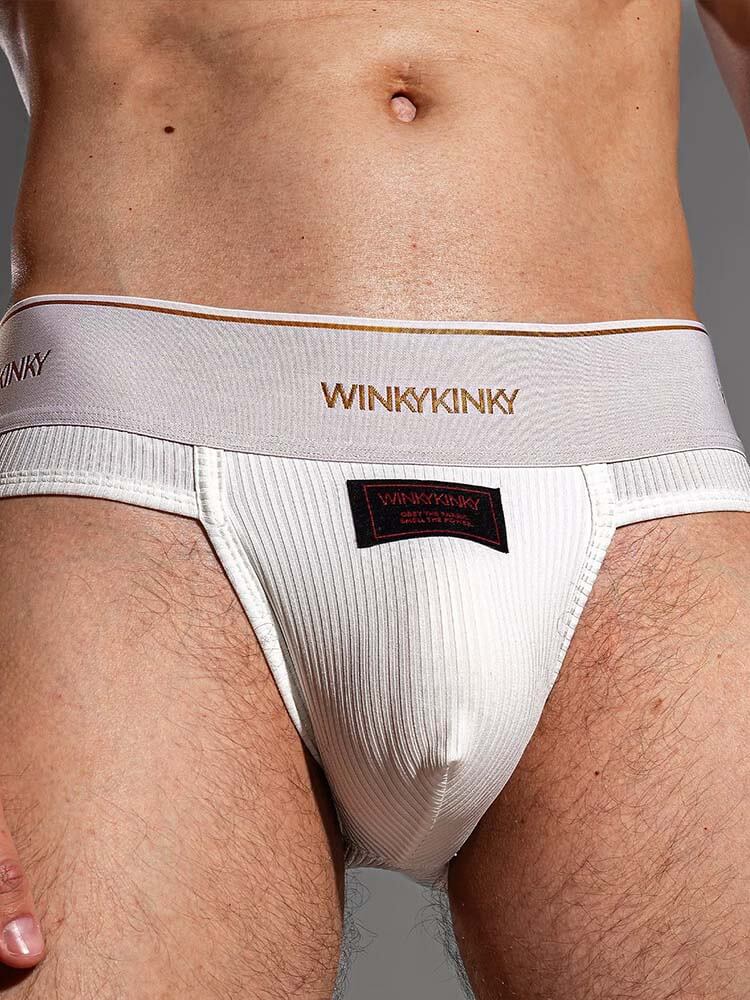 Men's Sexy Satin-Finish Wide Waistband Ribbed Briefs