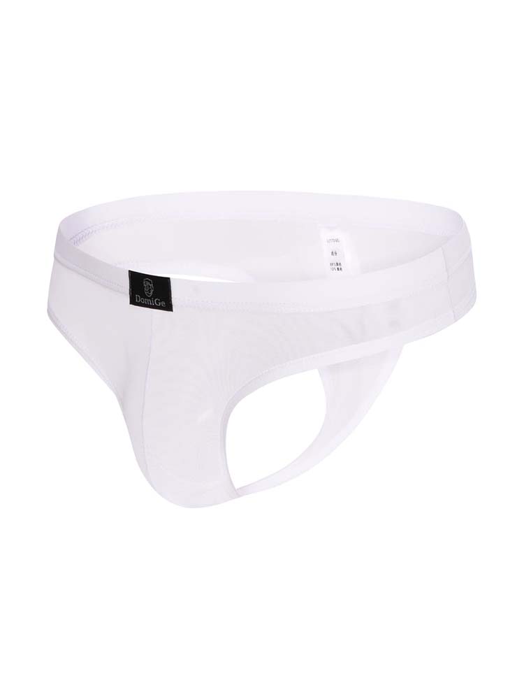 Men's Low Rise Mesh Bikini Thong