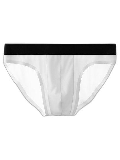 4 Pack Ice Silk Seamless Men's Briefs