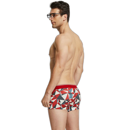 Seobean Geometric Boxers