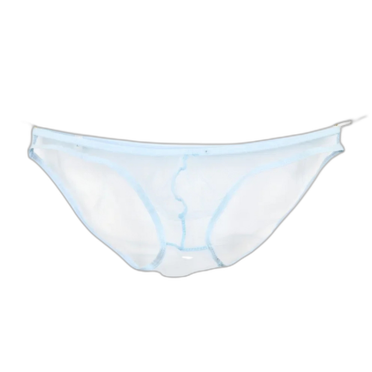 Caught In The Act Men's Mesh Briefs