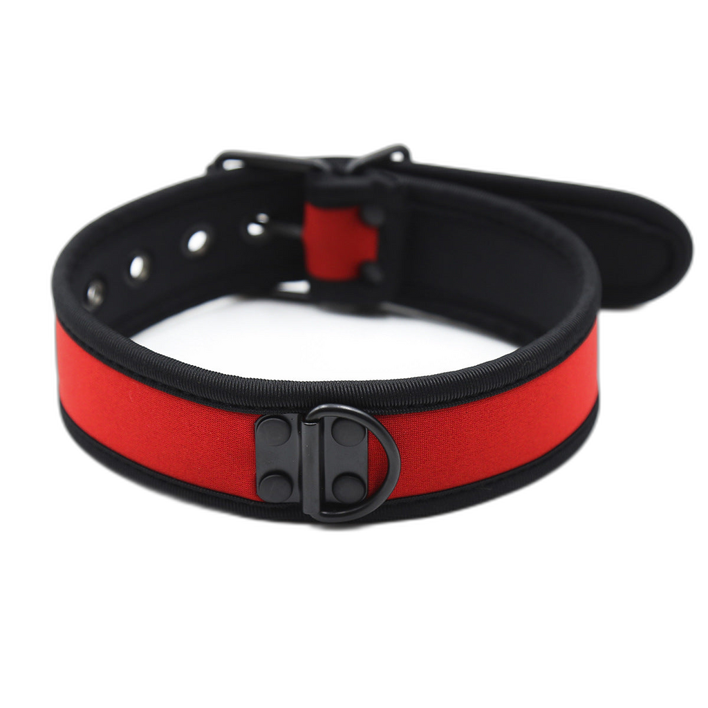 Coloured Adjustable Neck Collar