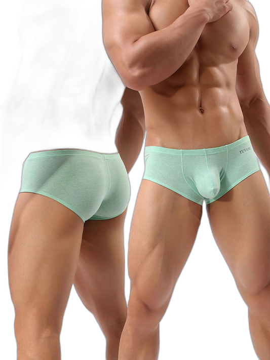 2 Pack Men's U-Pouch Casual Solid Trunks
