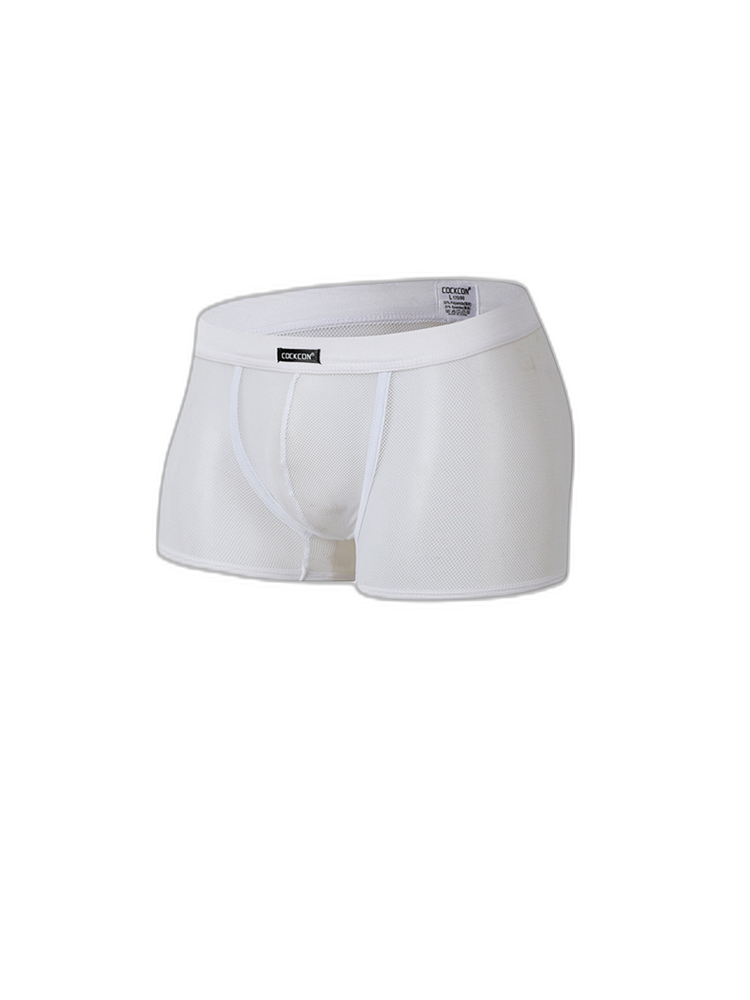 Men's Sexy Transparent Mesh Trunks