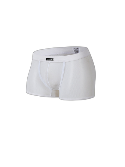 Men's Sexy Transparent Mesh Trunks