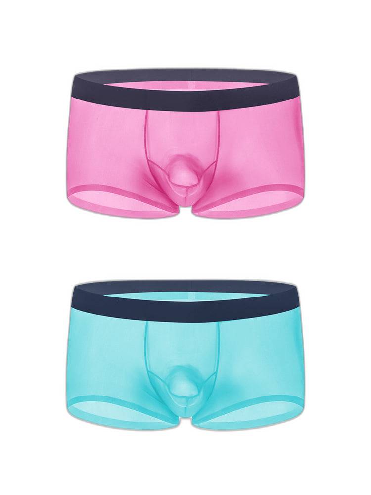 2 Pack Men's Ice Silk Separated Pouch Breathable Stretch Fit Trunks