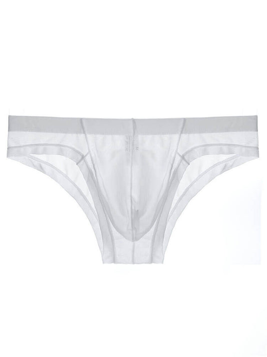 Men's Sexy Sheer Mesh Pouch Breathable Briefs 