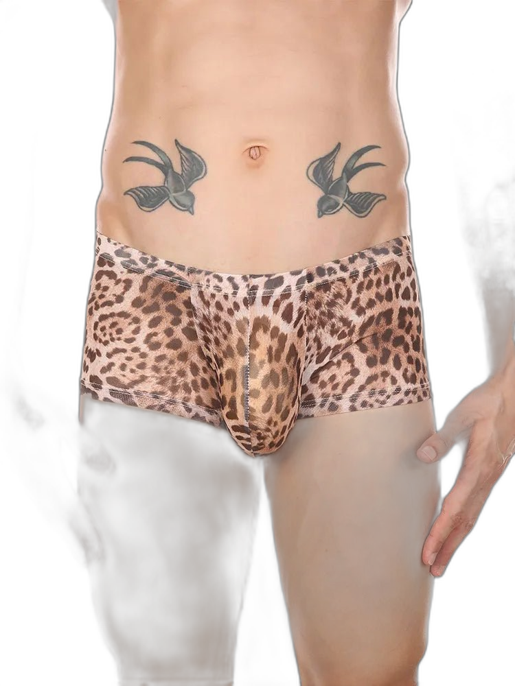 4 Pack Leopard Print See-through Mesh Trunks