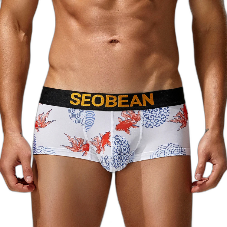 SEOBEAN Year of the Pisces Briefs