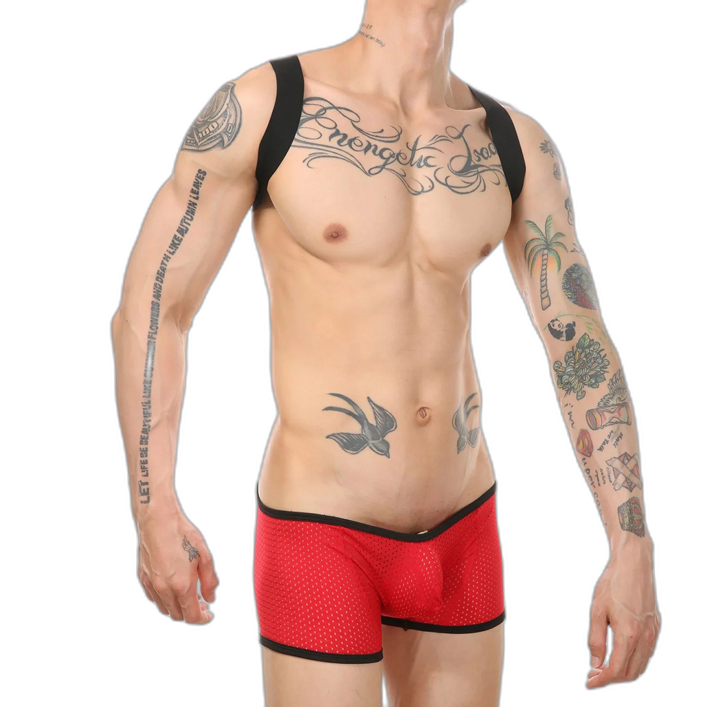 Kink Wrestling Dream Mesh Bodysuit