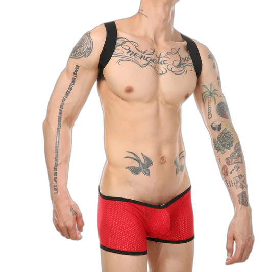 Kink Wrestling Dream Mesh Bodysuit