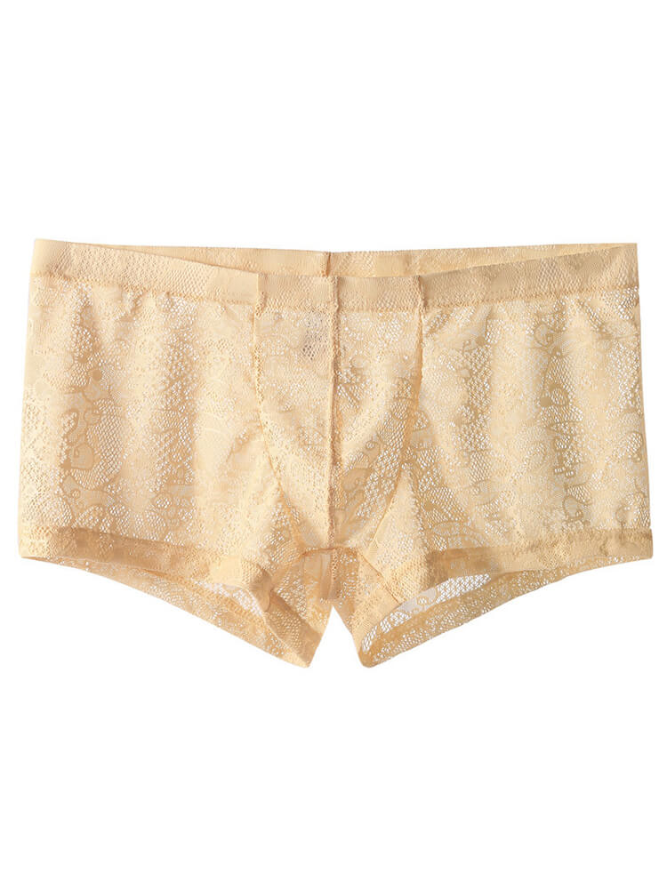 Men's Low-Rise Sexy Lace See-Through Boxer Briefs
