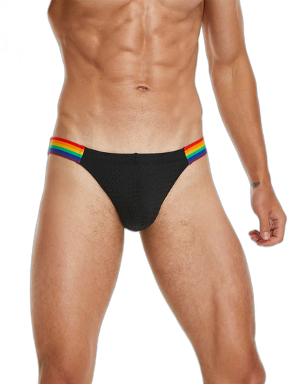 Men's Sexy Rainbow Pride Mesh Bikini