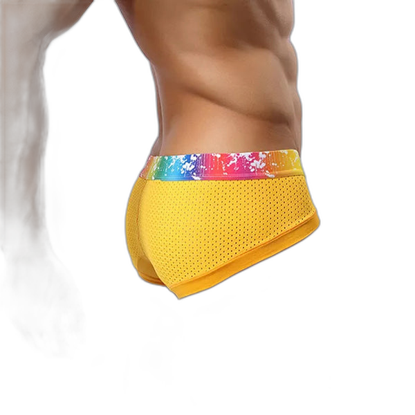 4 Pack Breathable Modal Colored Belt Briefs-rainbow pride underwear