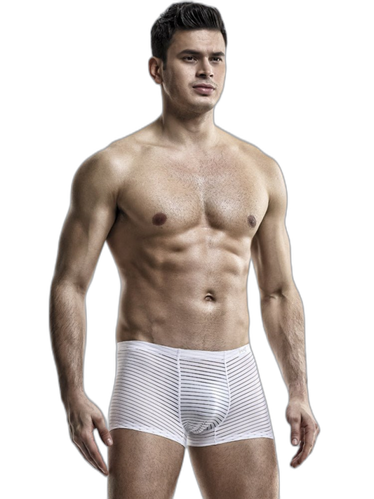 2 Pack Silk Striped Men's Super Thin Underwear