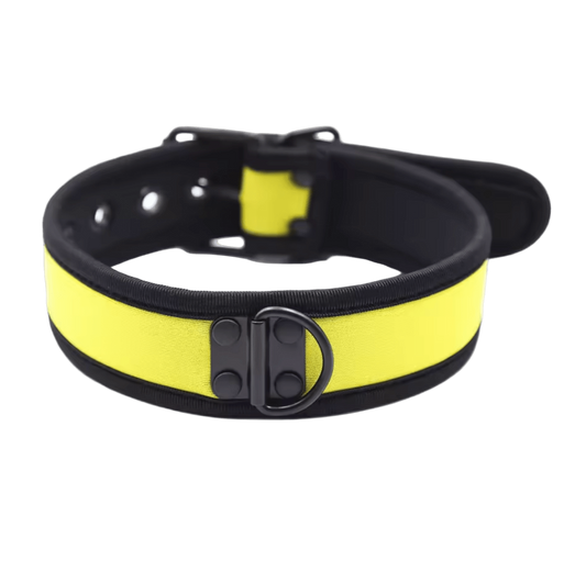K9 Collar Yellow