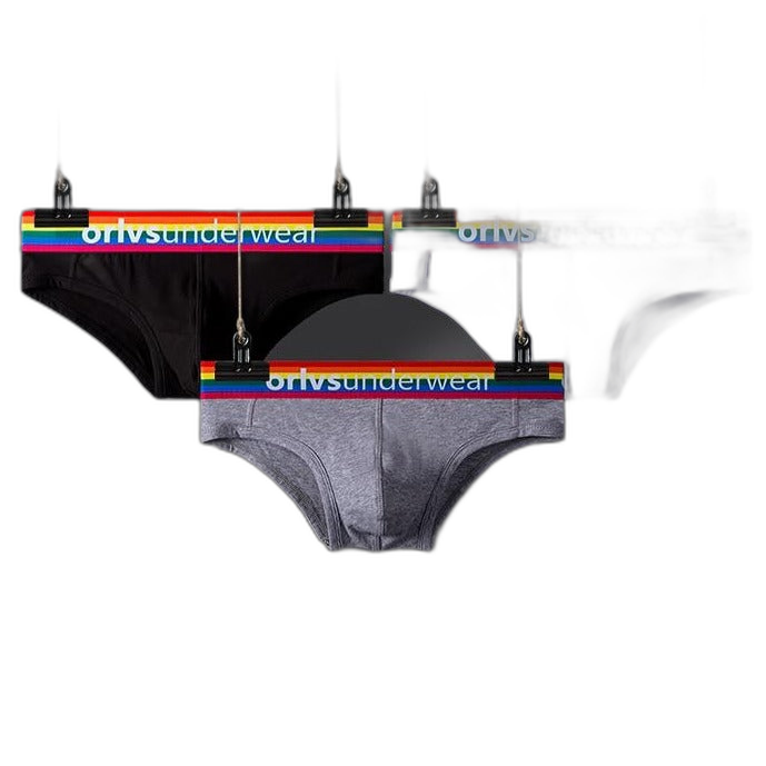 ORLVS Pride Briefs