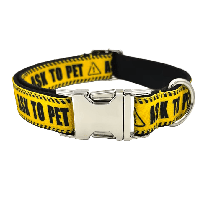 Engraved I Need Space Collar - The Pup Play Hub