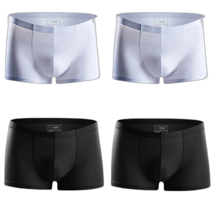 Ice Embrace Transparent Boxer Briefs (4 Pack)