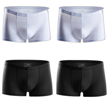 Ice Embrace Transparent Boxer Briefs (4 Pack)