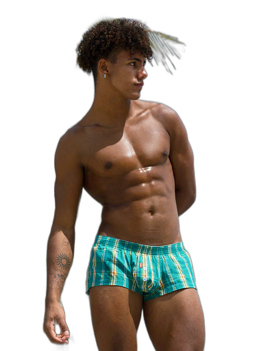 Men's Classic Plaid Cotton Trunks With Button Fly