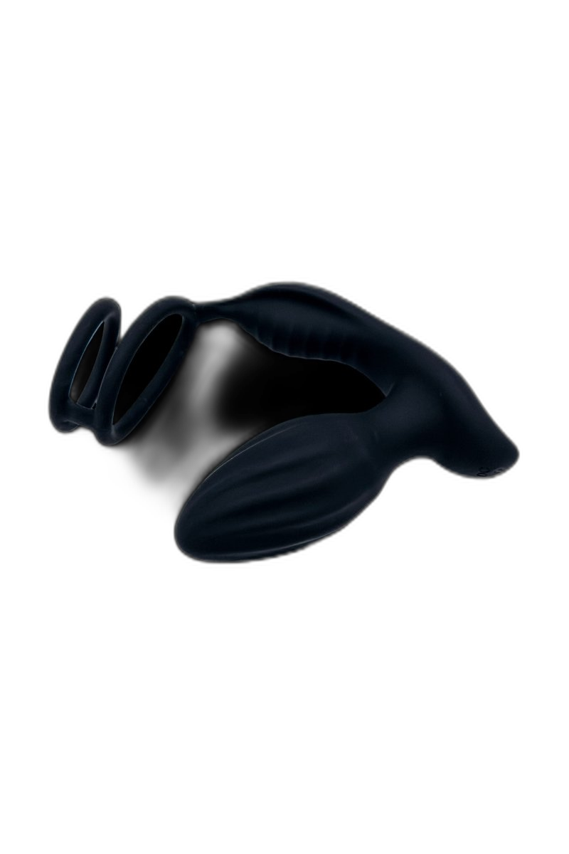 Double Ring Rotary Anal Plug