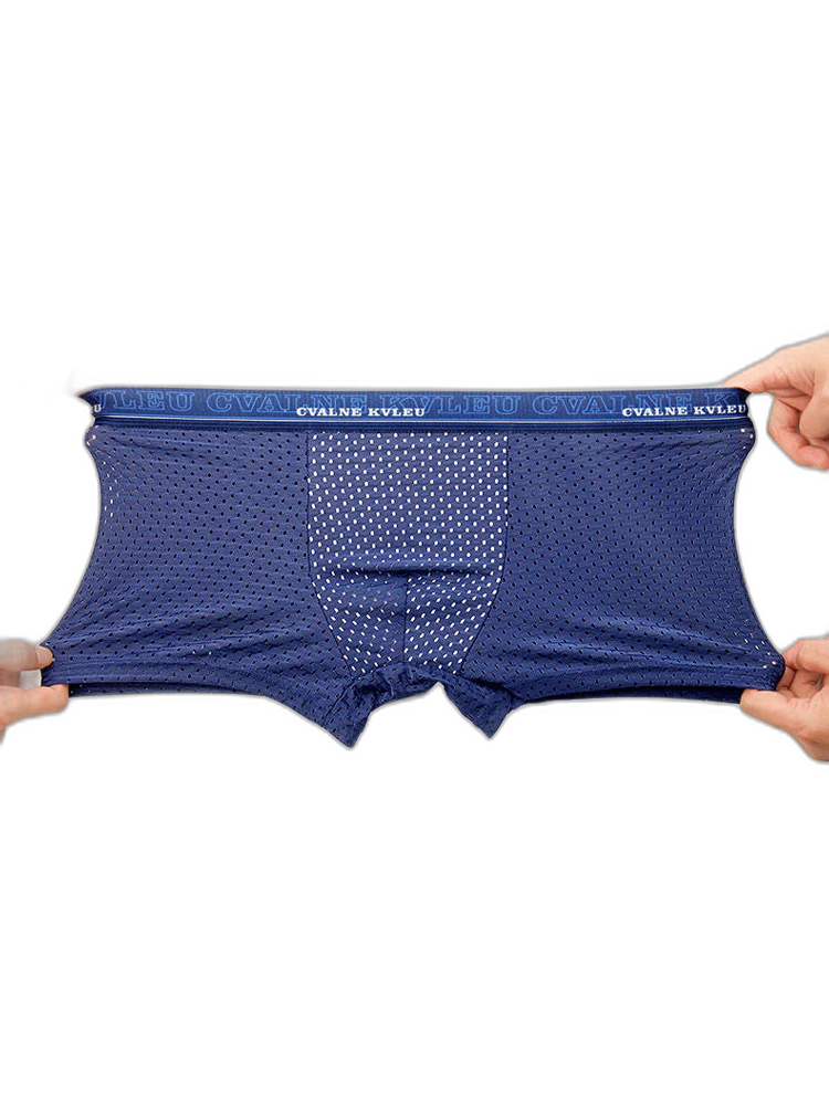 4 Pack Mesh Breathable Ice Silk Underwear Boxer