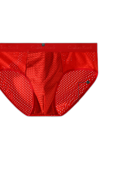 4 Pack Breathable Ice Silk Antibacterial Men's Briefs
