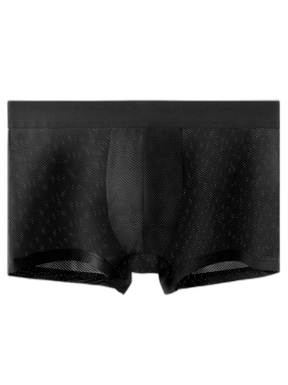 4 Pack Men's Thin Ultra Breathable Mesh Trunks