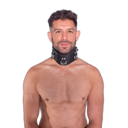 Prowler RED Leather Posture Collar Black
