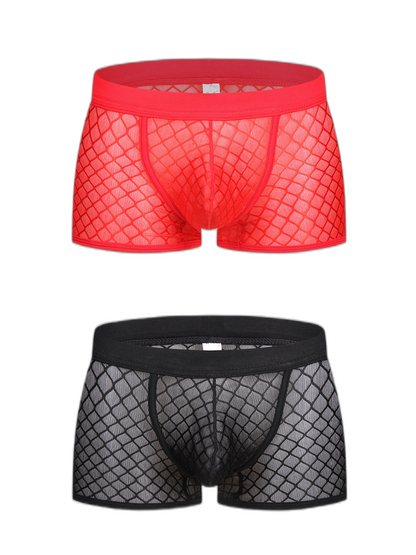 2 Pack Men's Sexy Transparent Mesh Trunks