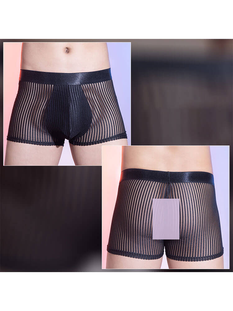 Men's Sexy Sheer Vertical-Striped Boxer Briefs