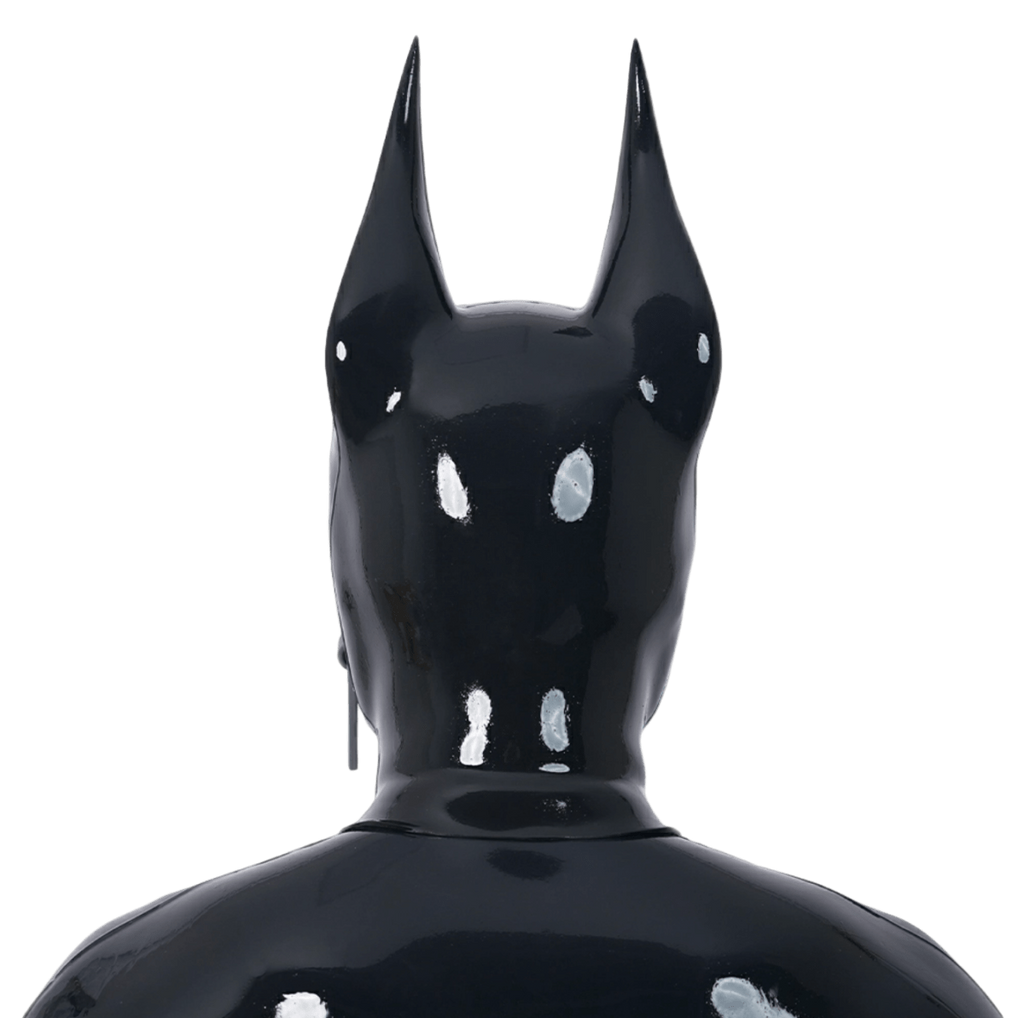 Furrjoi Zipper Dog Hood