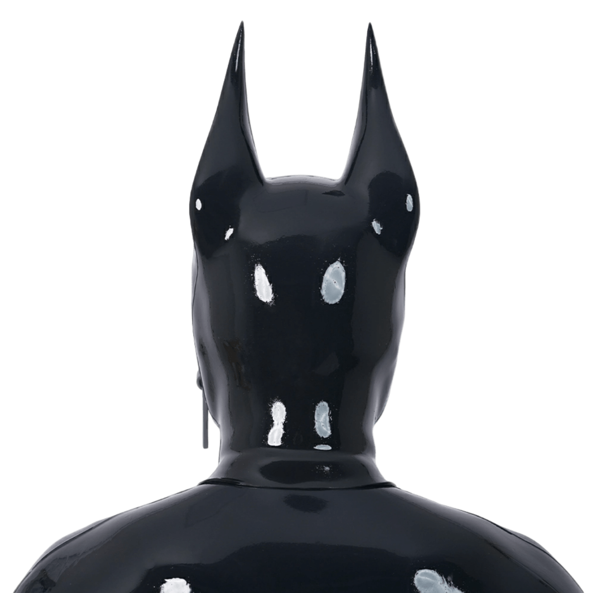 Furrjoi Zipper Dog Hood