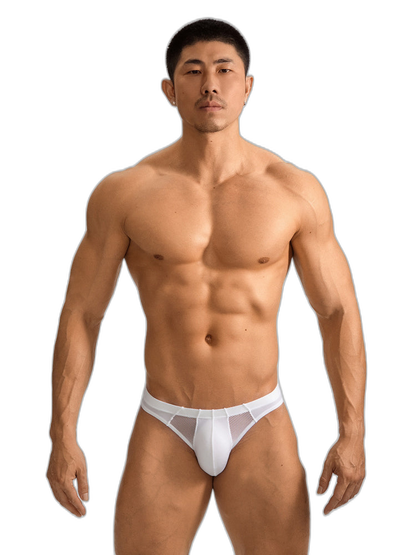 2 Pack Men's Sheer Mesh Low-Rise Sexy Ice Silk Briefs