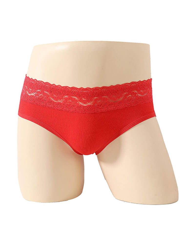 Men's Lace Trim Sheer Sexy Solid Color Briefs