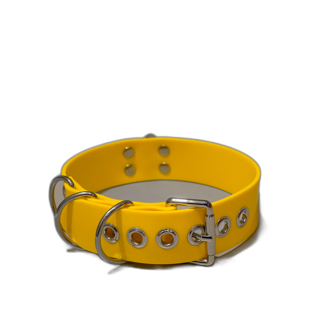 Multi-D Buckle Style Silicone Collar
