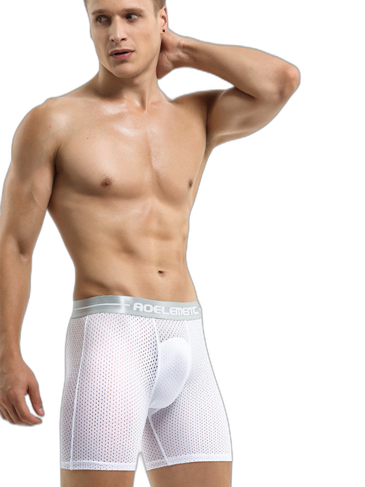 2 Pack Mesh Ice Silk Moisture Wicking Sport Boxer Underwear