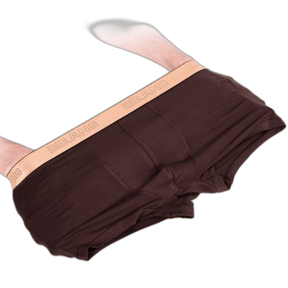 Modal Ultra-soft Solid Mid-waist Men's Boxer Briefs