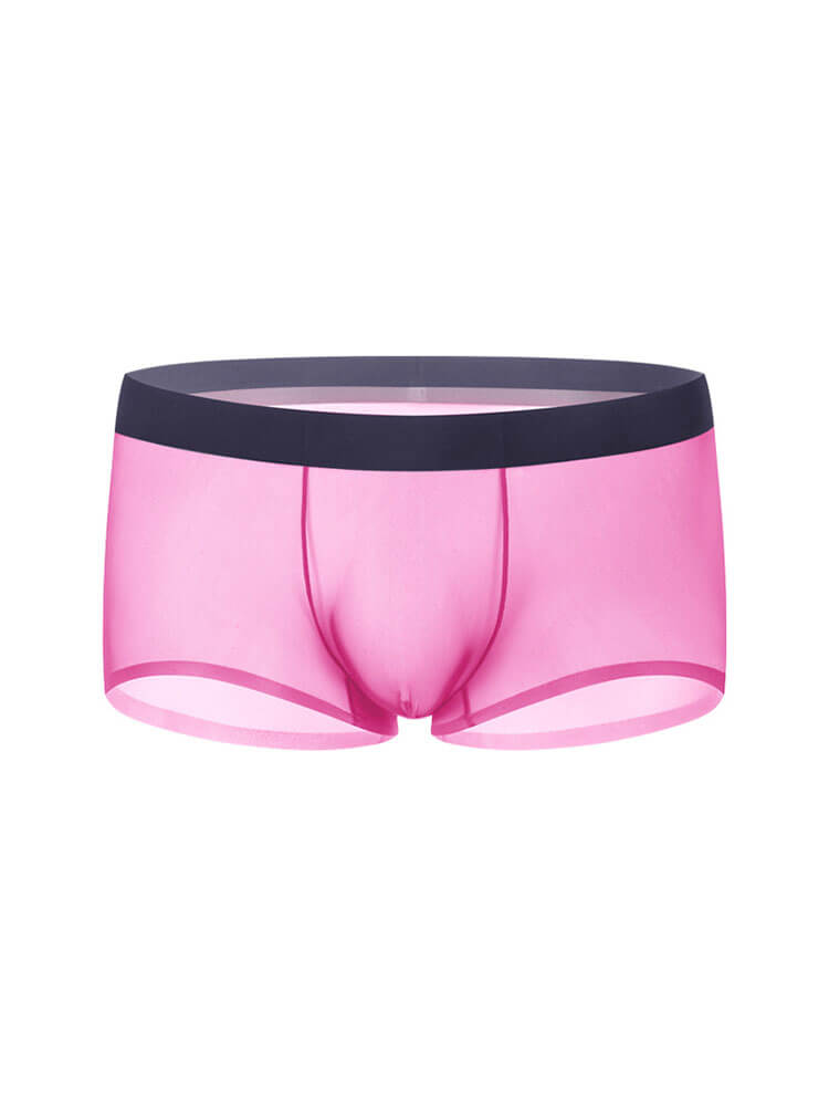 Men's Sheer Ice Silk Thin Pouch Boxer Briefs