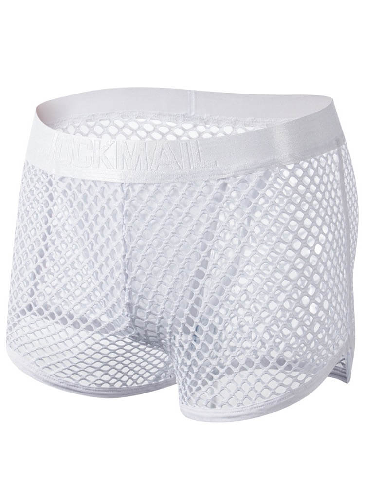 Men's Sexy Low-Rise Mesh See-Through Boxer Briefs