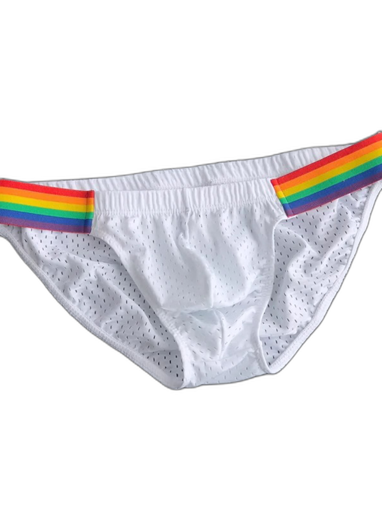 Men's Sexy Rainbow Pride Mesh Bikini