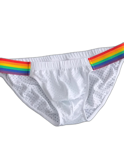 Men's Sexy Rainbow Pride Mesh Bikini