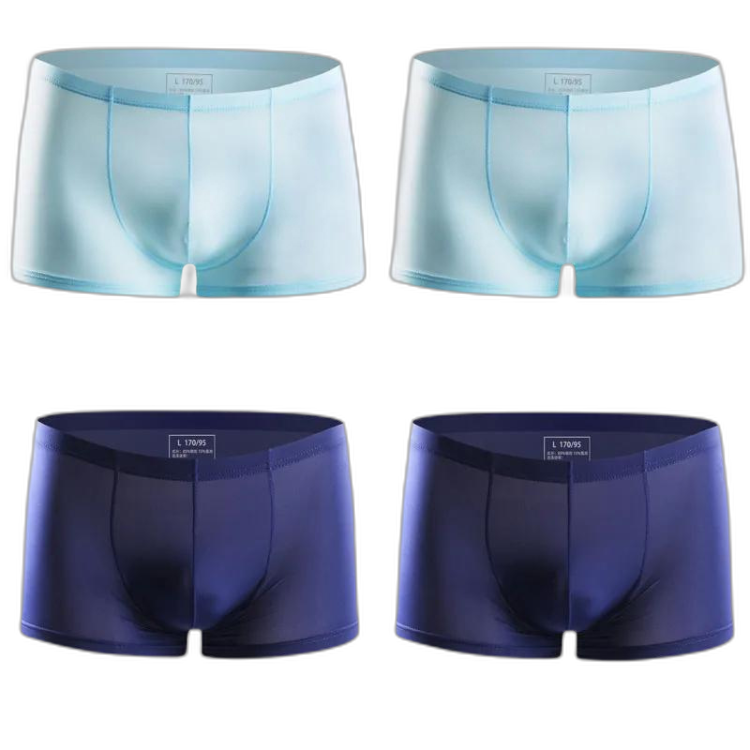 Ice Embrace Transparent Boxer Briefs (4 Pack)