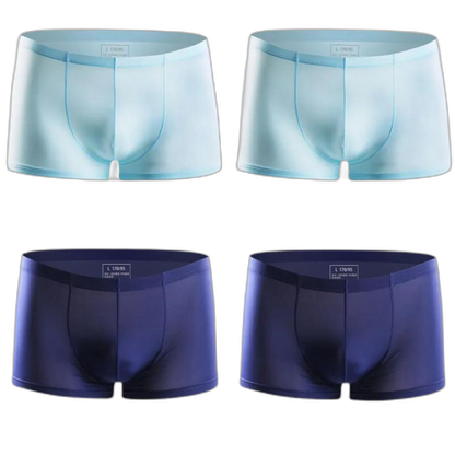 Ice Embrace Transparent Boxer Briefs (4 Pack)