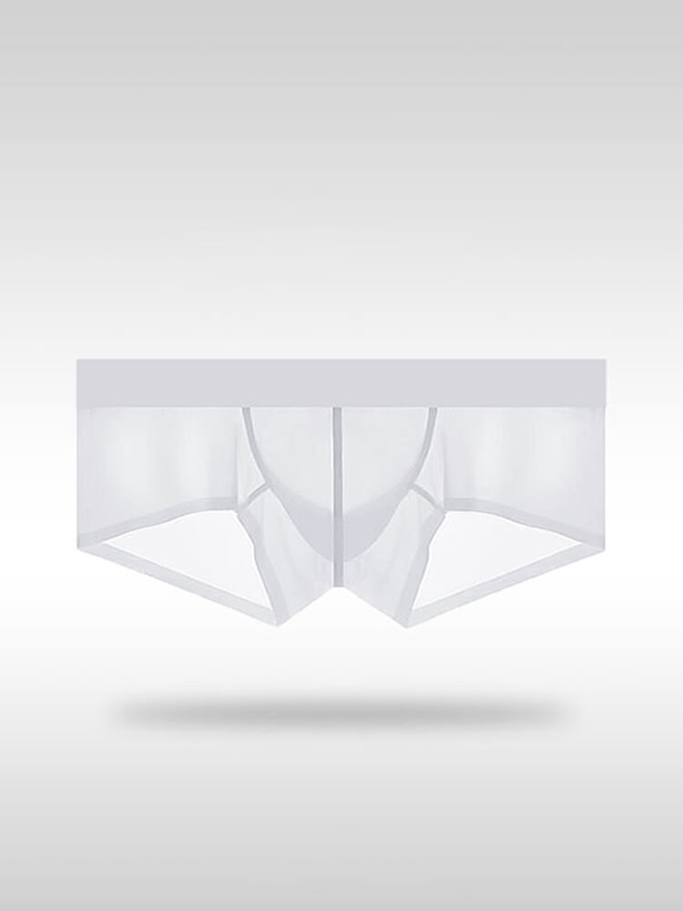 Men's Sexy Tight Transparent Low Rise Trunks